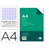 RECAMBIO LIDERPAPEL 100H 4T 100G A4 4MM - 47116